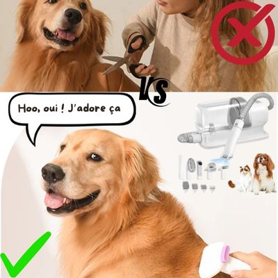 Aspirateur de toilettage chien | ToutouTurbo™