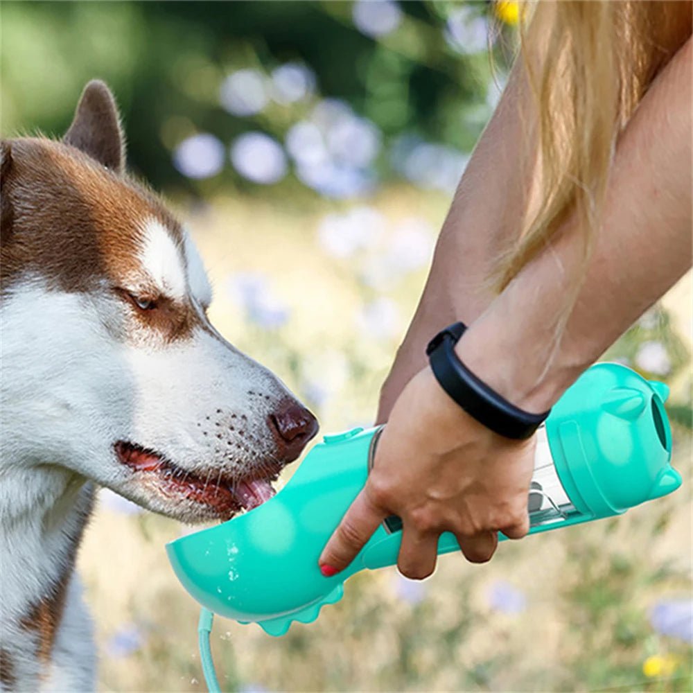 Gourde pour chien 3-en-1 | L'indispensable™