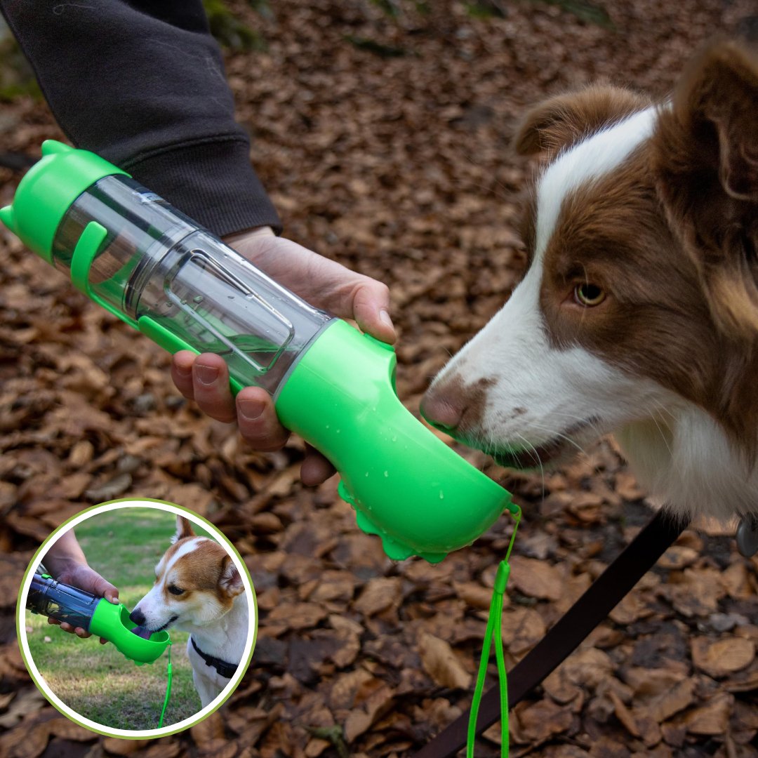 Gourde pour chien 3-en-1 | L'indispensable™