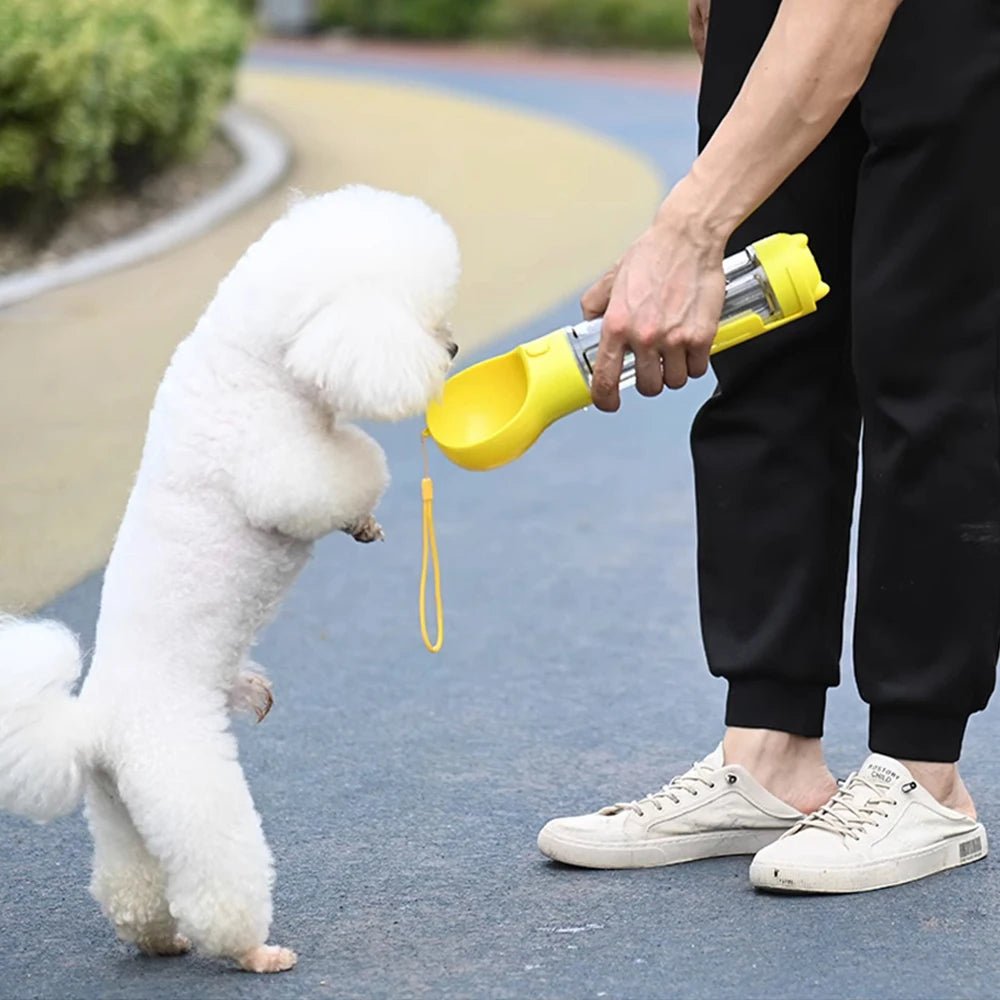 Gourde pour chien 3-en-1 | L'indispensable™