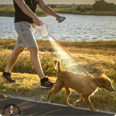 Laisse Anti Traction pour chien LED | Flash'y™