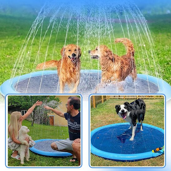 Piscine Gonflable pour Chien | pataugeoire Pooch™