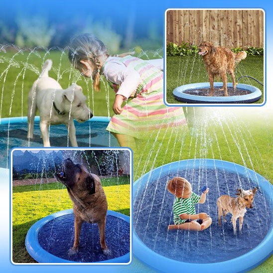 Piscine Gonflable pour Chien | pataugeoire Pooch™