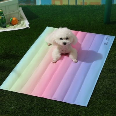 Tapis Rafraichissant pour chien | Tapis Freshy™