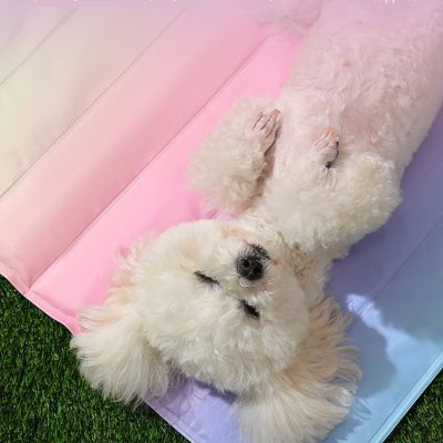 Tapis Rafraichissant pour chien | Tapis Freshy™