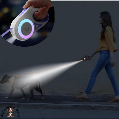 Laisse pour chien LED | Flash'y™