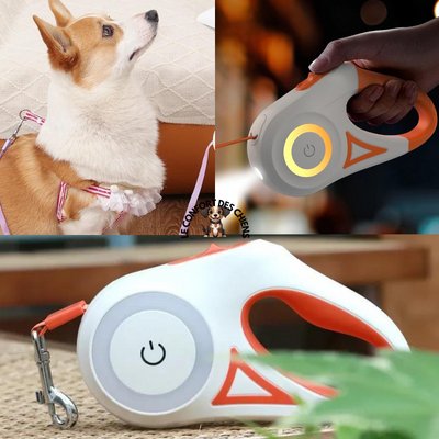 Laisse pour chien LED | Flash'y™